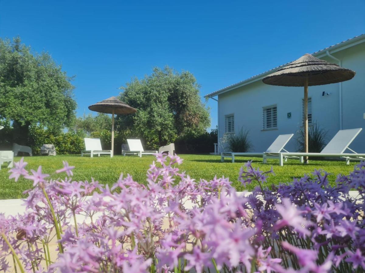 La Maison - Boutique Rooms Sperlonga Luaran gambar